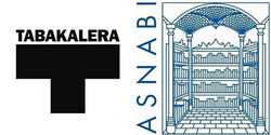 Visita Profesional: UBIK·Tabakalera ·Actividad conjunta con ASNABI 