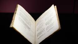 Visita junto con la asociación ASNABI al Museo Vasco de Bayona: ‘Linguae Vasconum Primitiae’ 